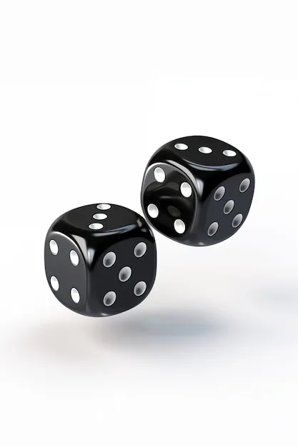 团队与产品展示